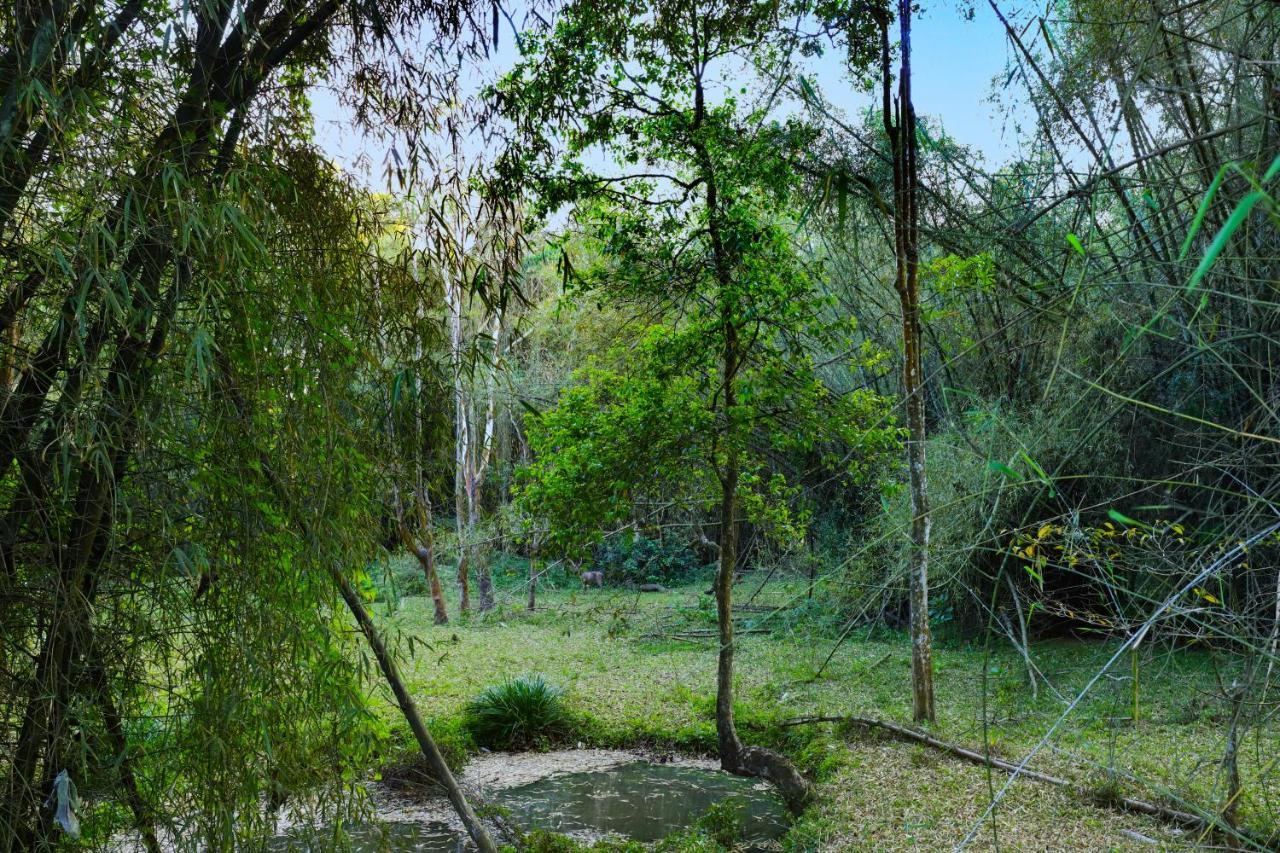 Keys Prima By Lemon Tree Hotels, Thekkady Exterior foto